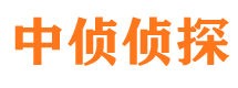 金东市私家侦探